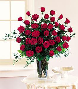 Stein 3-dozen Roses