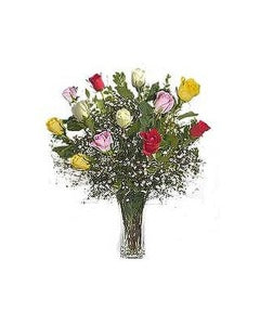 Stein Dozen Assorted Roses