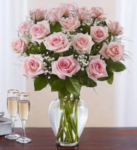 Stein Dozen Pink Roses