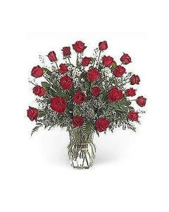 Stein 2 Dozen Red Roses