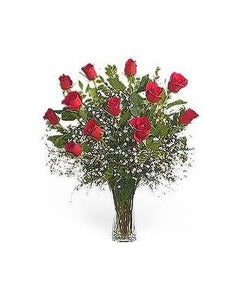 Stein Dozen Red Roses